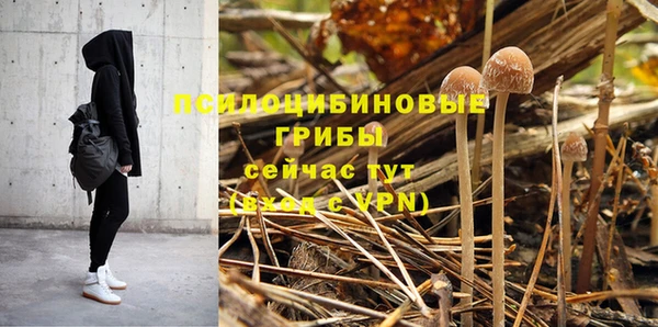 шишки Алексин
