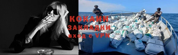 шишки Алексин