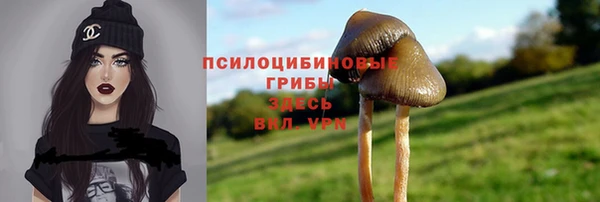 кокс Алексеевка