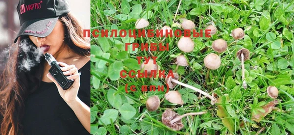 дурь Абинск