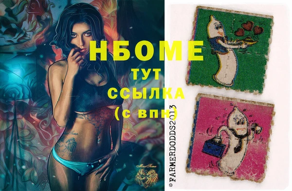 шишки Алексин