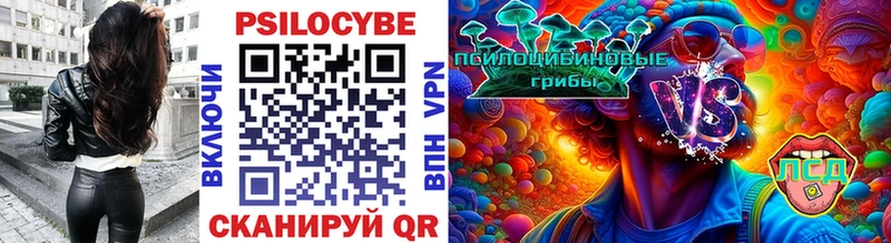 Галлюциногенные грибы Psilocybe  Ермолино 